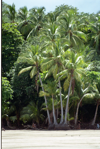 Lucy Leroy Photographe 
Paris
lucyleroy.com
@lucy_leroy_marie
Reportage, Costa Rica, Documentaire, Paysage, Nature, Environnement, écologie, plantes