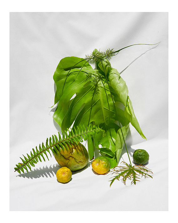 Lucy Leroy Photographe Paris
@lucy_leroy_marie
// Fashion and beauty Photography, Editorial, Still Life, Packshot. Photographie et post production, Set design, DA