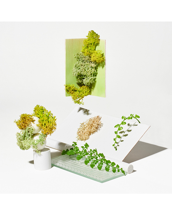 Lucy Leroy Photographe Paris
@lucy_leroy_marie
// Fashion and beauty Photography, Editorial, Still Life, Packshot. Photographie et post production, Set design, DA