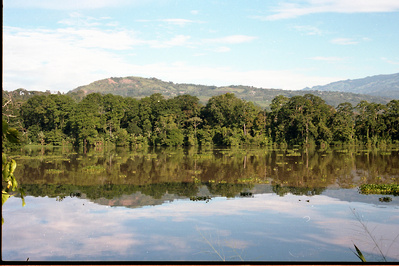 Lucy Leroy Photographe 
lucyleroy.com
@lucy_leroy_marie
Reportage, Costa Rica, Documentaire, Paysage, Nature, Environnement, écologie, plantes