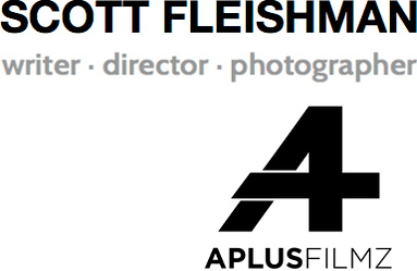 Scott Fleishman's Portfolio