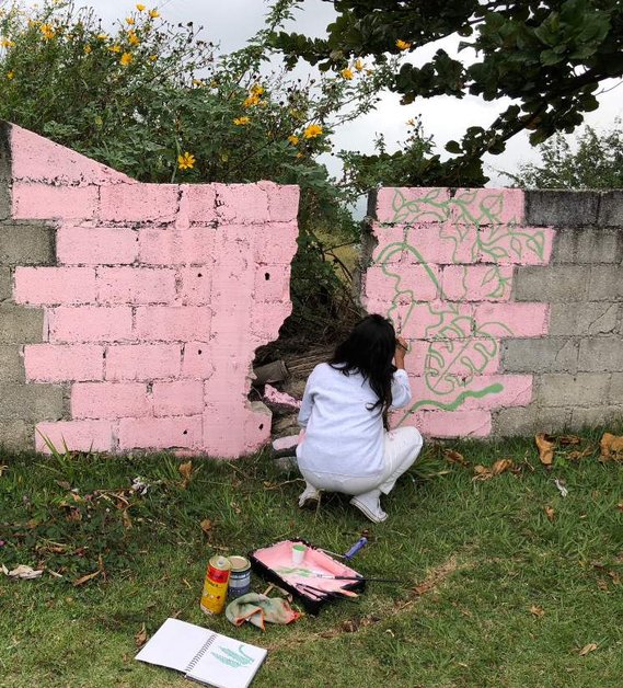 Painting a mural on Ilhabela, an island off the coast of Sao Paulo, Brazil. 