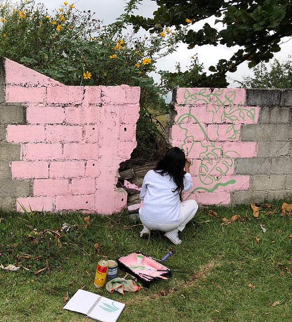 Painting a mural on Ilhabela, an island off the coast of Sao Paulo, Brazil. 
