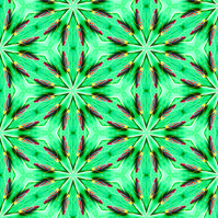 an image of an insect forming a pattern called Red-Banded Leaf Hopper