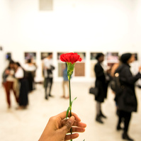 A photograph of a carnation flower with the exhibition This is Worldtown - Unbound: Stories From Behind the Dust 