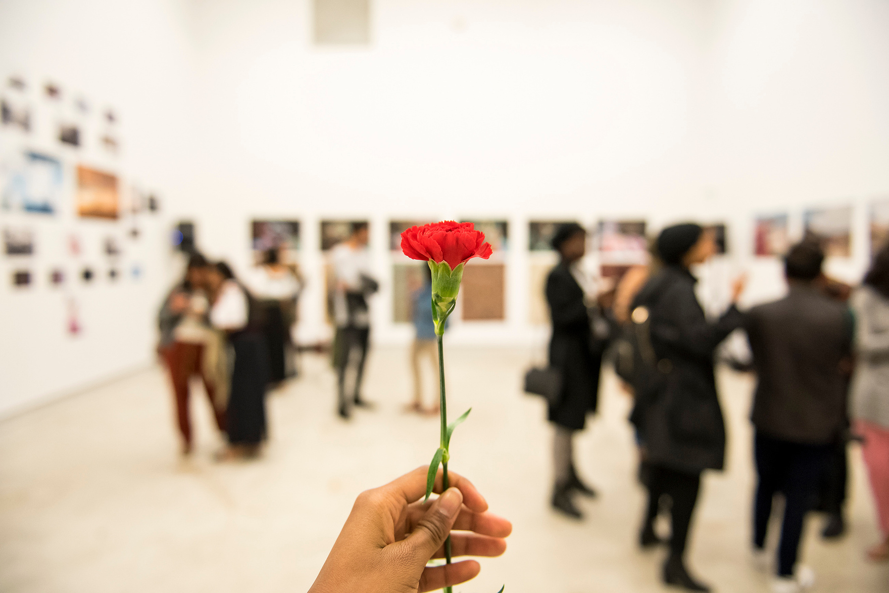 A photograph of a carnation flower with the exhibition This is Worldtown - Unbound: Stories From Behind the Dust 