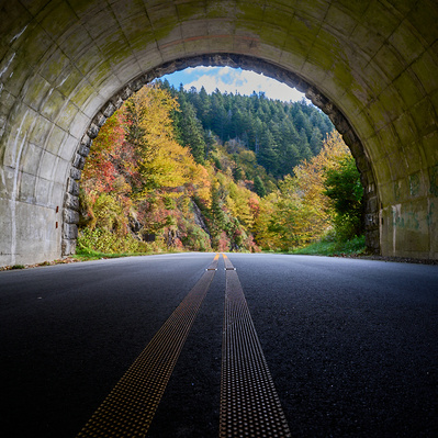 Tunnel view of fall leave change on Blueridge Parkway, TN.