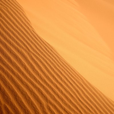 Moroccan landscape photograph featuring a wind created pattern in the sand near Merzouga.