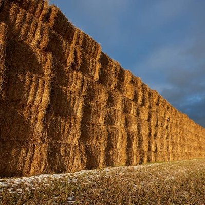 Sunrise over a large straw pile formed in a long line. Located in Manitoba Canada 