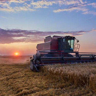 Sunset over combines harvesting wheat in the prairies. 