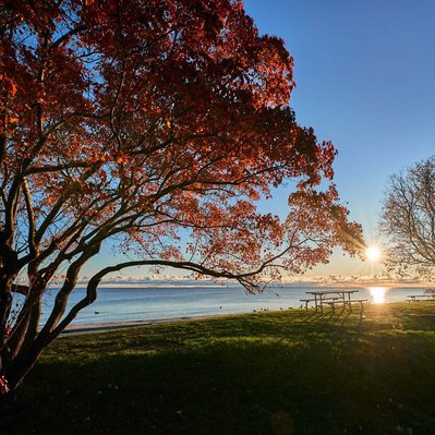 Sunrise on Lake Winnipeg with red fall leaves. 