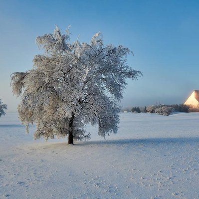 Sunrise over The Royal Canadian Mint with a heavy frost, located in Winnipeg Manitoba.