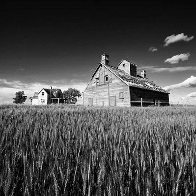 An abandoned homestead and barn located in the prairie region of Manitoba Canada.