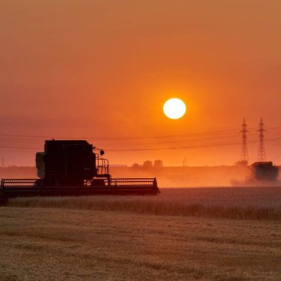 Sunset over combines harvesting wheat in the prairies. 