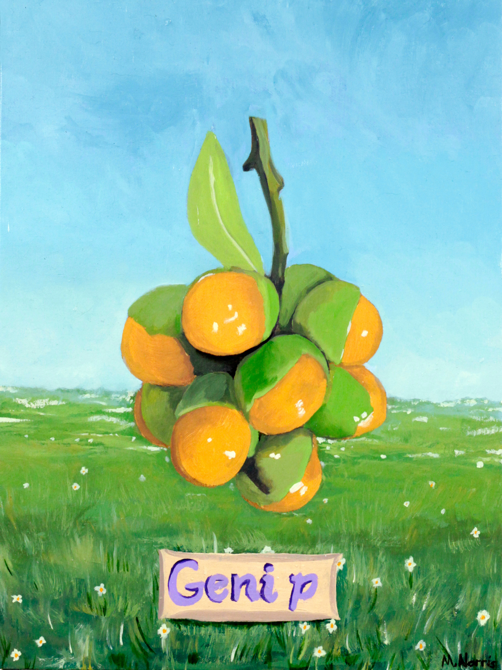 bushel of genip fruit from guyana in front of a grassy field with small white flowers on a cloudless sunny day