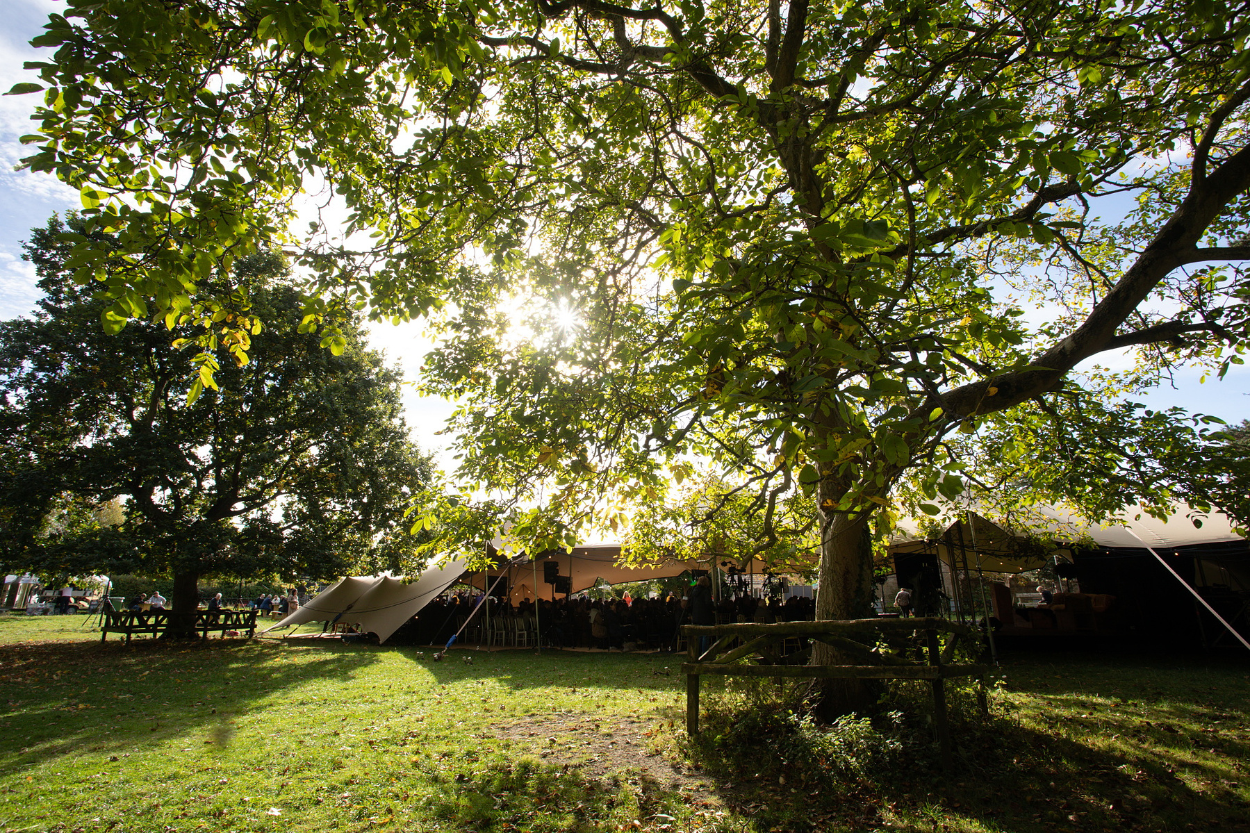 Trees in garden at Airfield Estate conference Events & Press/PR Photographers Dublin