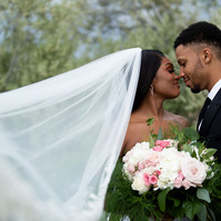 spring wedding photos with veil, Rochester NY