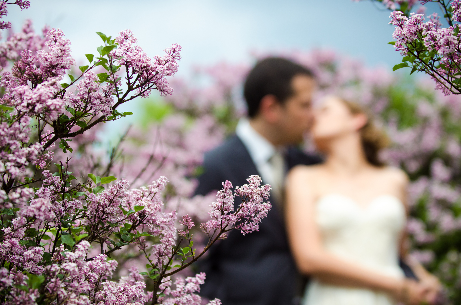 Bride and Groom in Lilacs, Highland Park Rochester NY