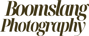 Boomslang Photography