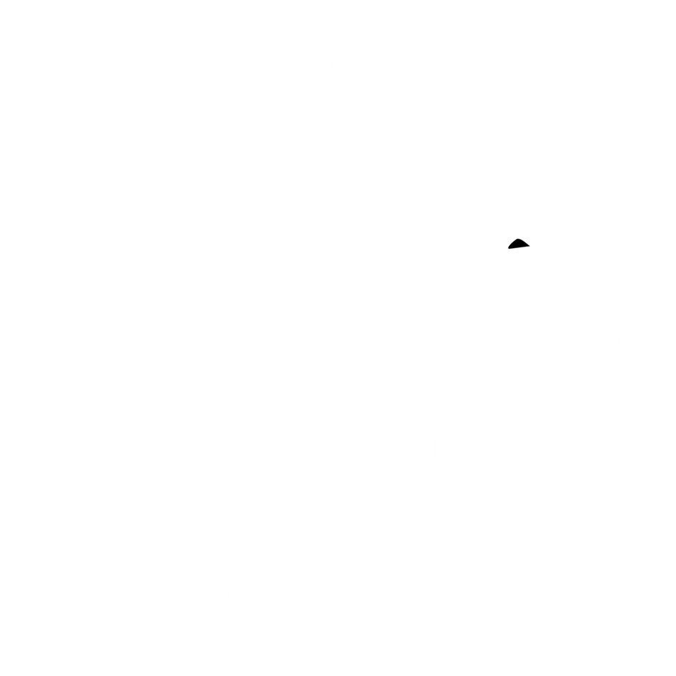 Jean Von Mentlen's Portfolio