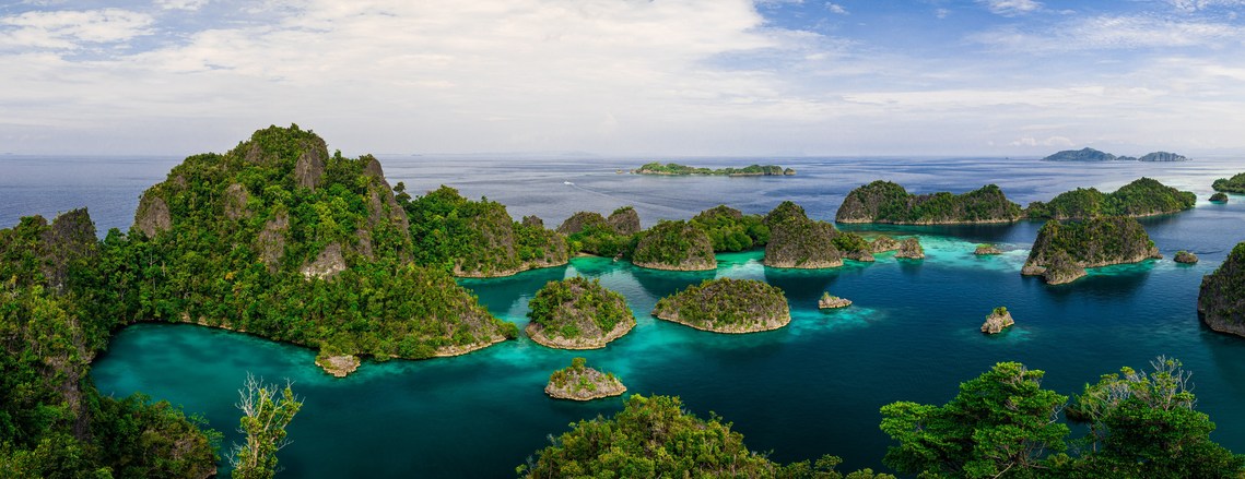 The picture shows an amazing rock formation in Indonesia's Piaynemo Raja Ampat region. The formation is made up of several levels of craggy limestone cliffs that rise out of the ocean's crystal clear waters. The cliffs are a mixture of gray and white hues