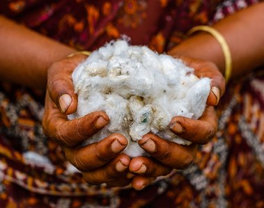 Cotton
