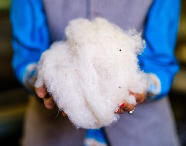 Wool