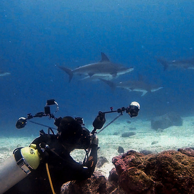 Scuba diving in North Seymour in the Galapagos, shot by Anthony G