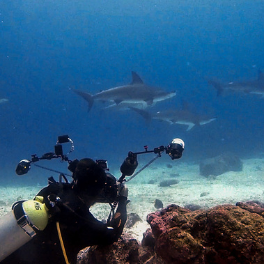 Scuba diving in North Seymour in the Galapagos, shot by Anthony G