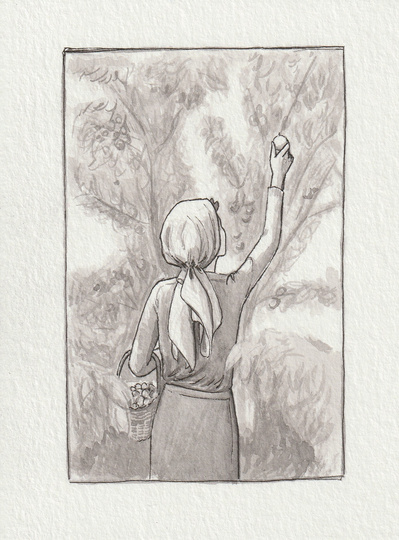 Ink drawing of the back of a woman as she picks fruit from a tree. She is wearing a scarf over her hair and her right arm is outstretched to pick the fruit. She has a basket hanging over her left arm.
