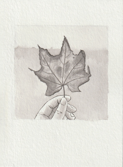 Ink drawing of fingers holding a frail and dry maple leaf.