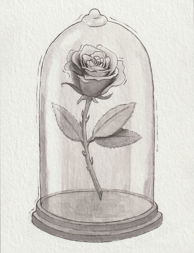 Ink drawing of a blooming rose magically suspended in air under a large glass cloche.