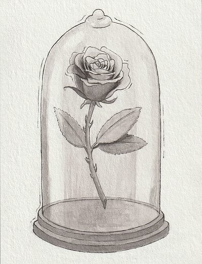 Ink drawing of a blooming rose magically suspended in air under a large glass cloche.