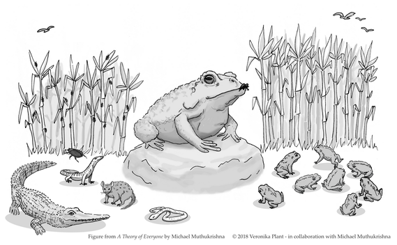 Grayscale illustration of toad sitting on rock. On the left it shows a crop with bugs on it and numerous Australian native animals. On the right, the crop has no bugs but the animals have been replaced with toads.