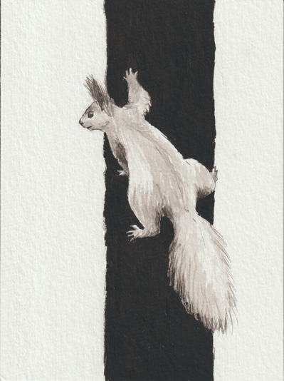 Ink drawing of a squirrel climbing up a tree trunk. The trunk is solid black to contrast the squirrel.
