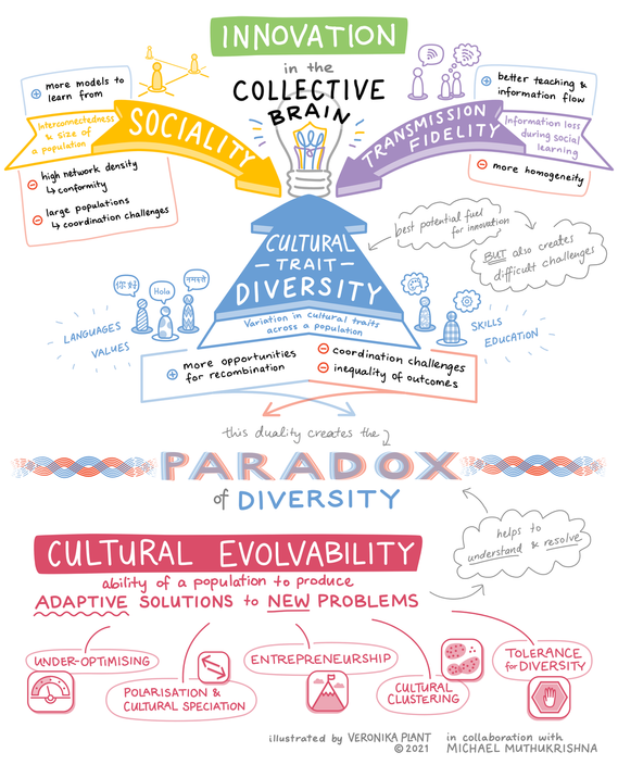 A Sketchnotes illustration explaining different things including innovation in the collective brain, the paradox of diversity, and cultural evolvability.