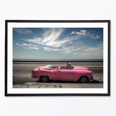 Rose Cuba