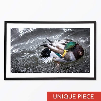 Forever Duck - Pièce unique