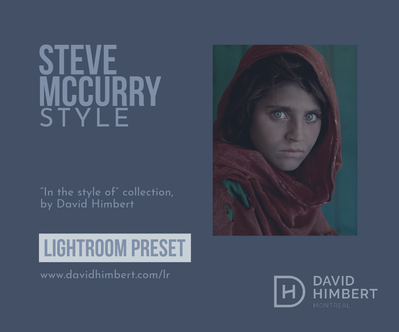 Steve McCurry Lightroom Preset Style