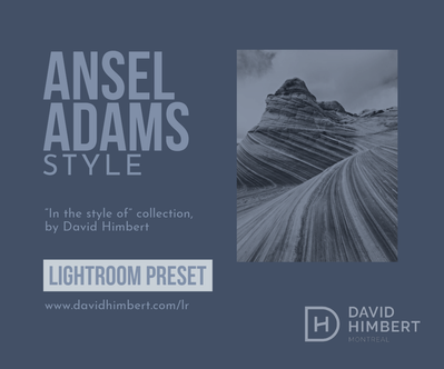 Ansel Adams Lightroom Preset Style