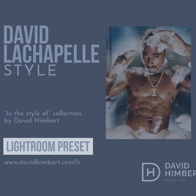David LaChapelle Lightroom Preset Style