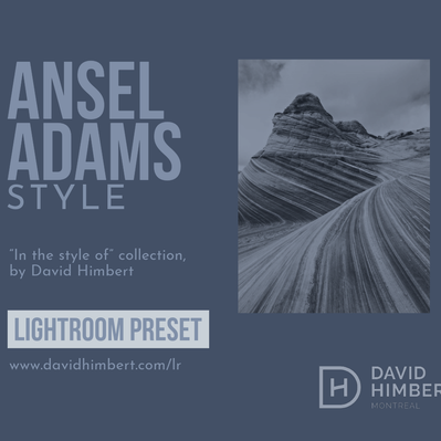 Ansel Adams Lightroom Preset Style