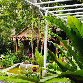garden lunal alignment yoga koh-phangan thailand