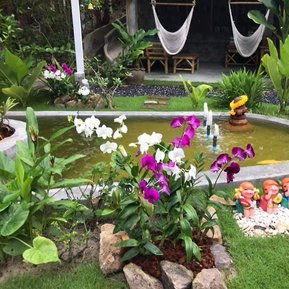 fountain lunal alignment yoga koh-phangan thailand