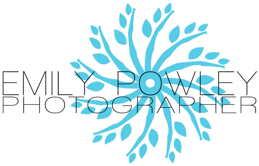 St Louis Wedding + Portrait Photographer // Powley Photo // Emily Powley