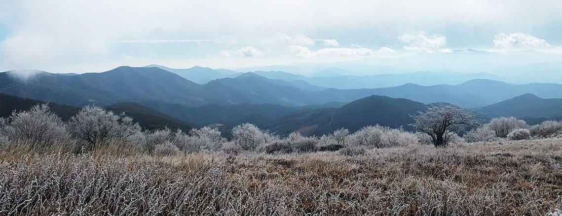 Jennifer Cantwell Photography