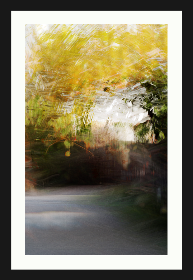 "The Farm" Abstract Photography