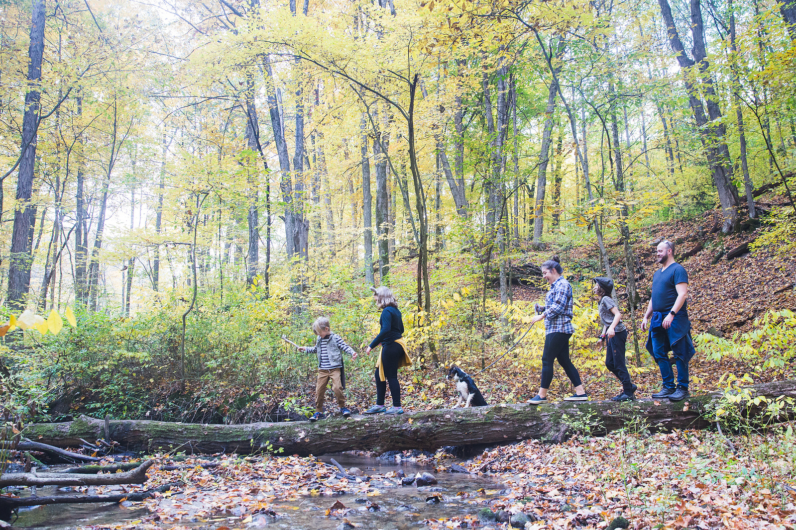 A family with mom, dad, three kids and a dog crossing a log in the woods.