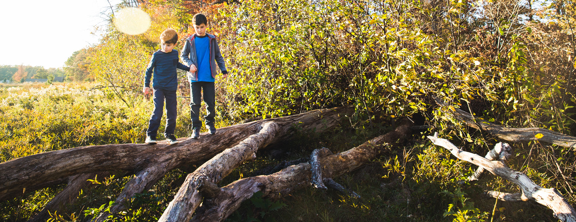 To children walking along a fallen tree during the bright fall colors