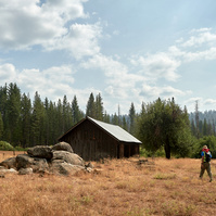 Yosemite conservancy week12, Seed Collecting at ackerson meadows in Yosemite.  